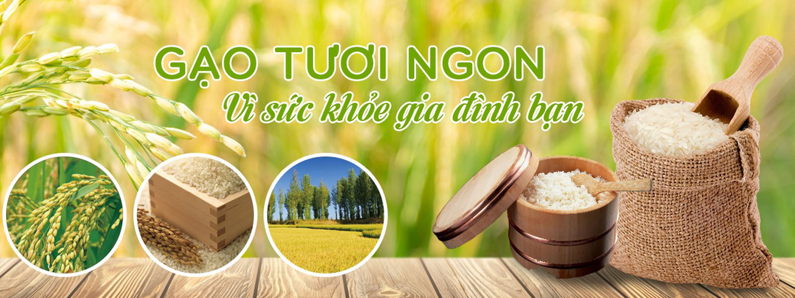Banner Slide 03