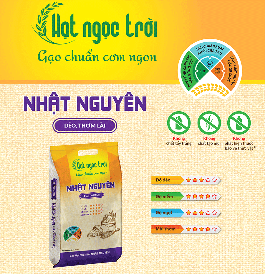 (HỘ KINH DOANH) NGUYỄN THỊ BÍCH NHUNG